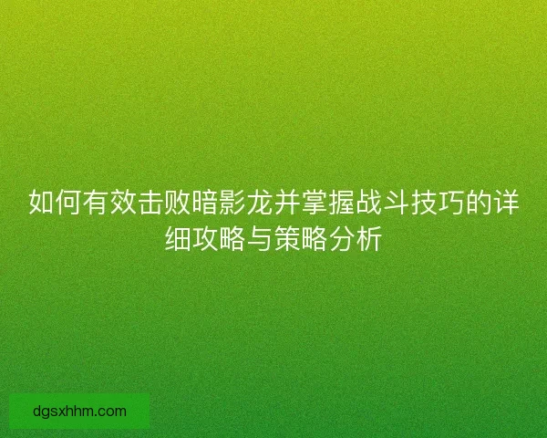 如何有效击败暗影龙并掌握战斗技巧的详细攻略与策略分析
