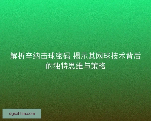解析辛纳击球密码 揭示其网球技术背后的独特思维与策略