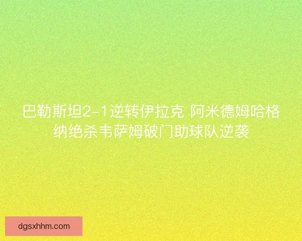 巴勒斯坦2-1逆转伊拉克 阿米德姆哈格纳绝杀韦萨姆破门助球队逆袭